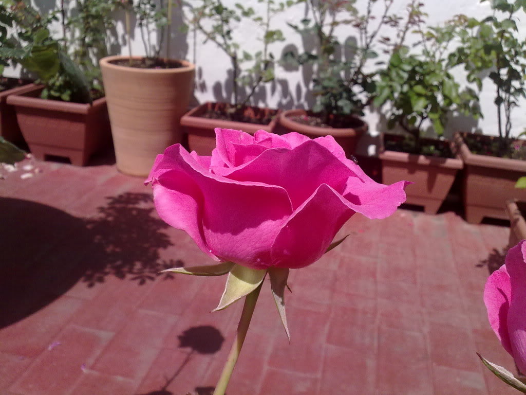 220420111531.jpg