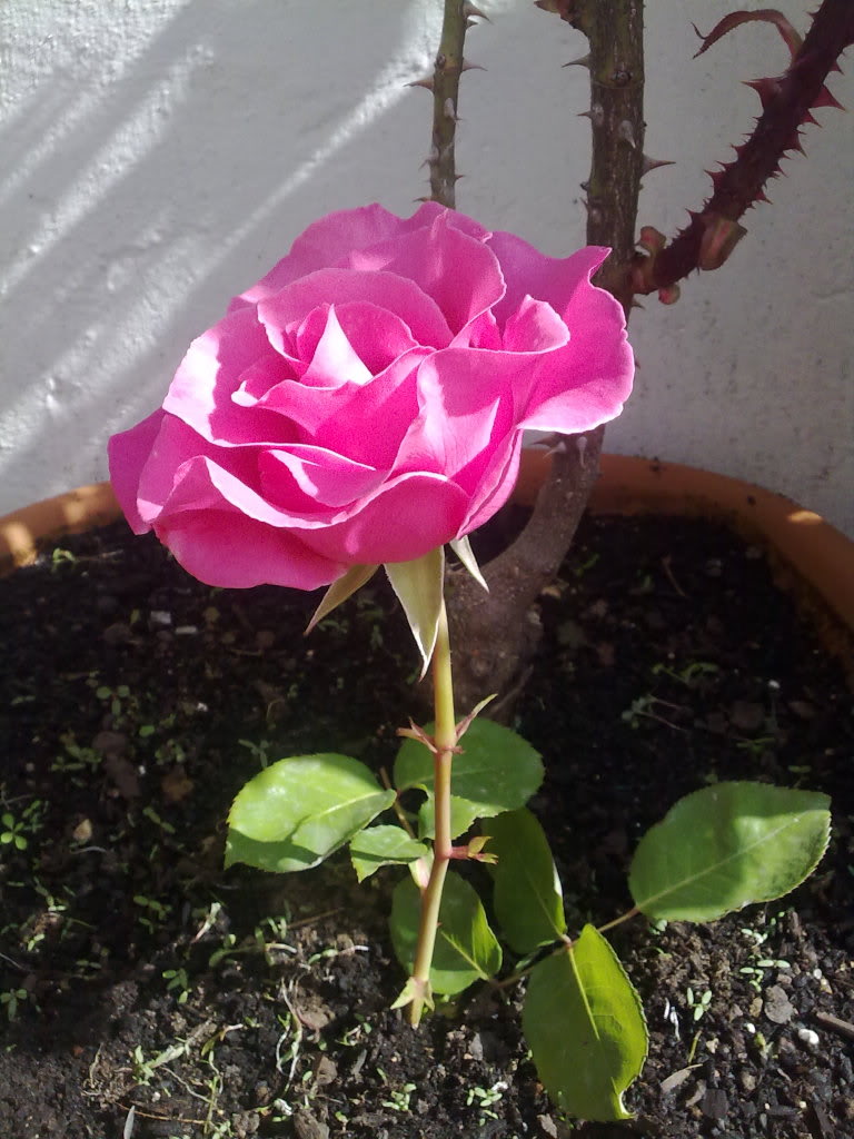 220420111538.jpg
