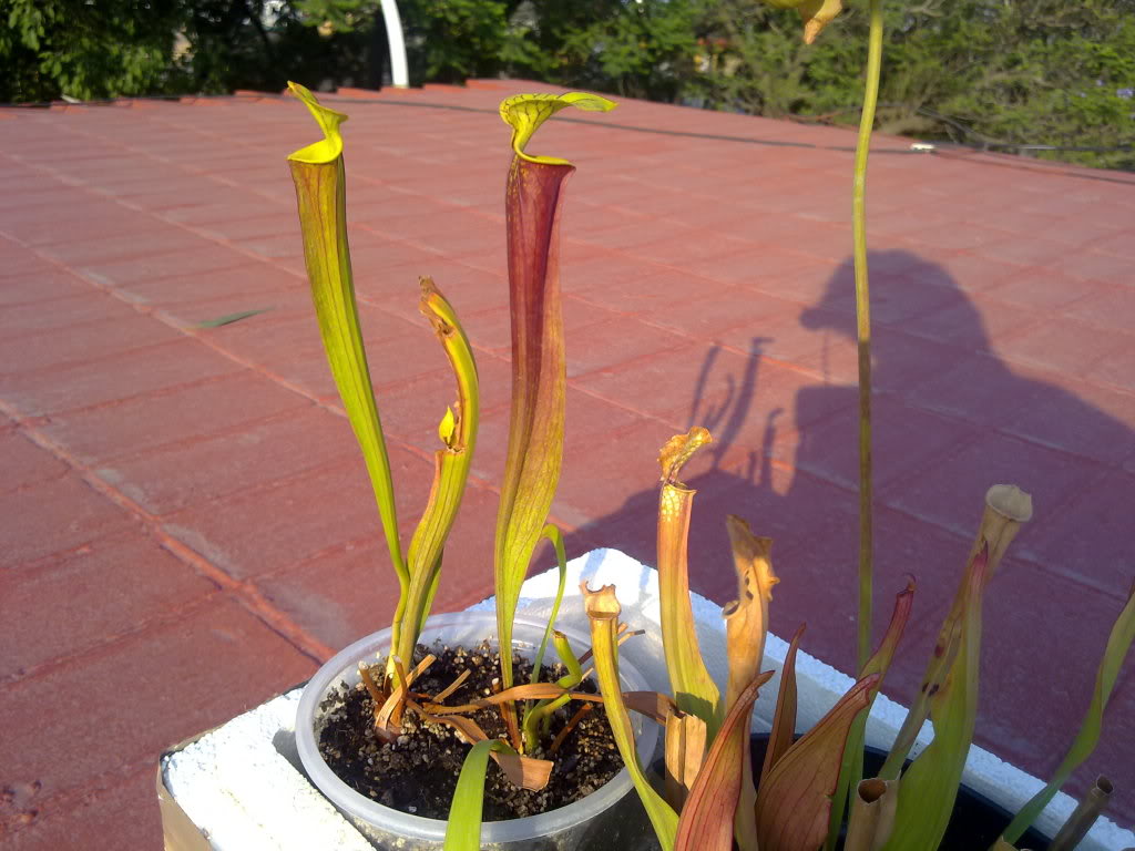 22052011362.jpg