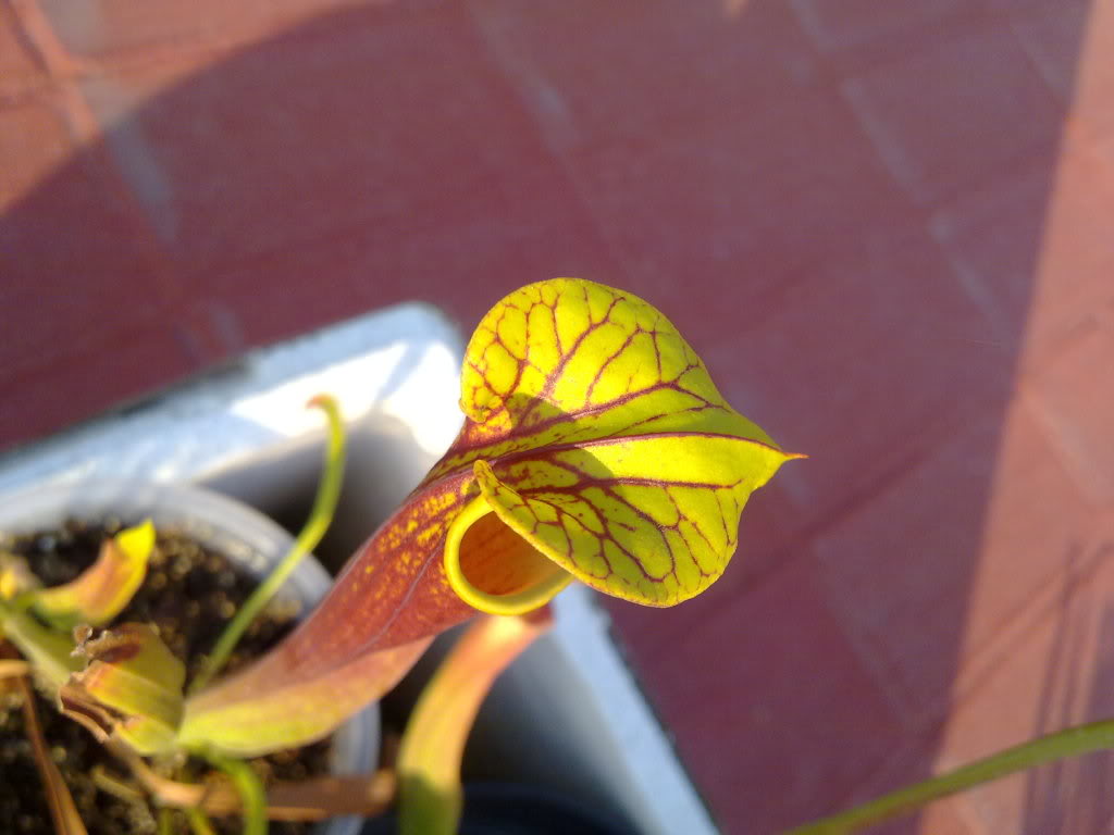 22052011363.jpg