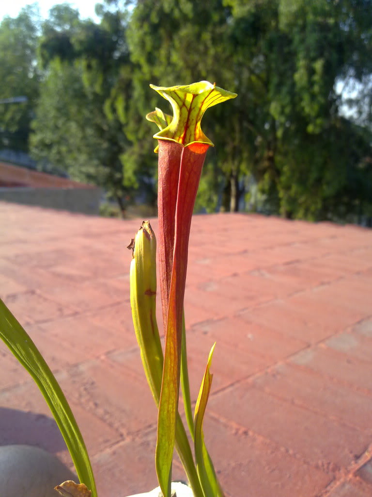 22052011364.jpg