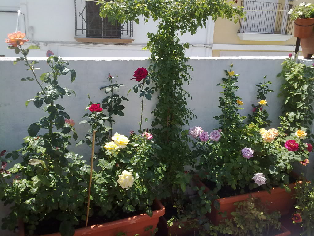220620111971.jpg