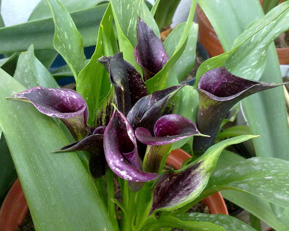 220620121880.jpg