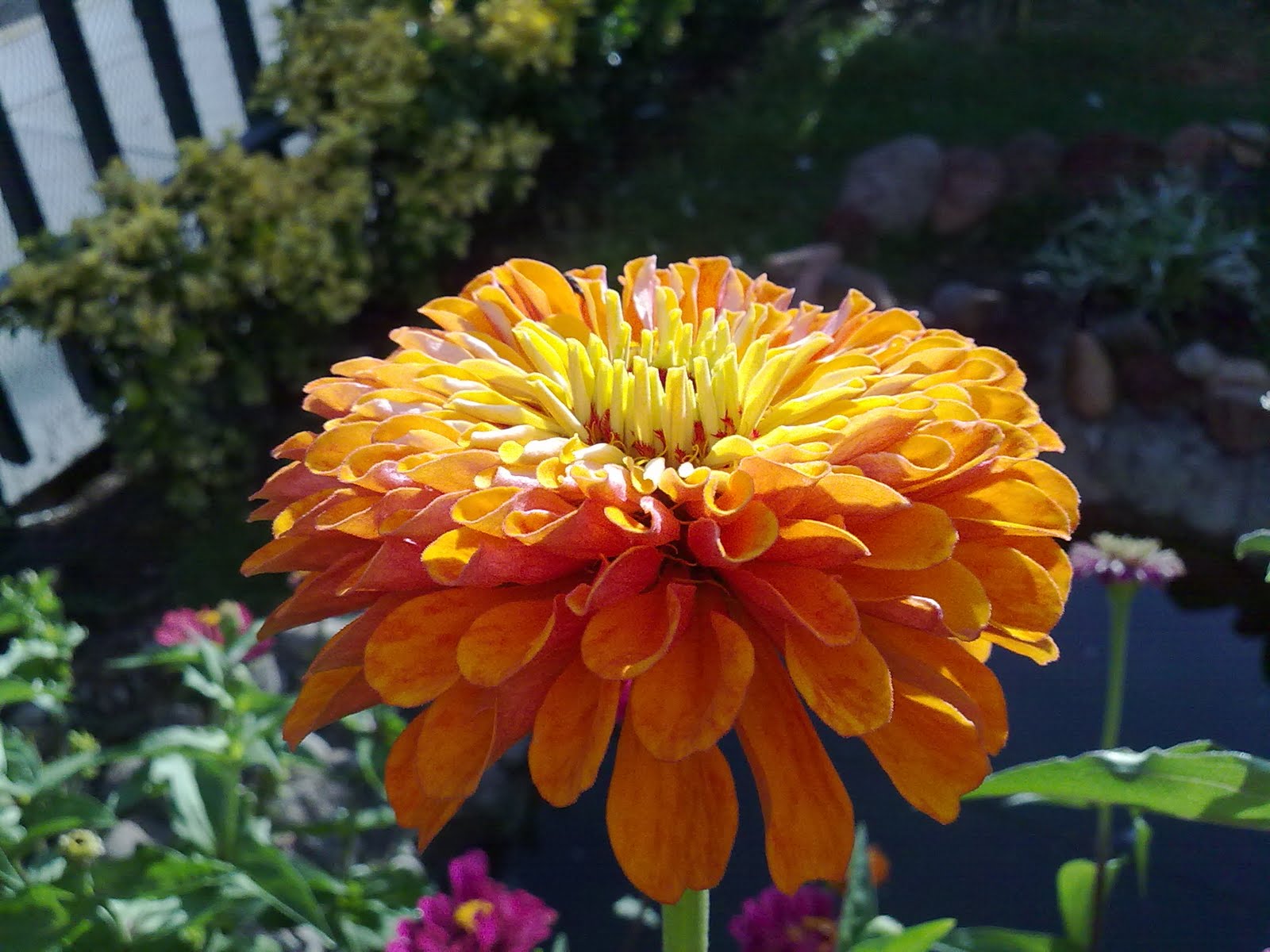 220720101620.jpg