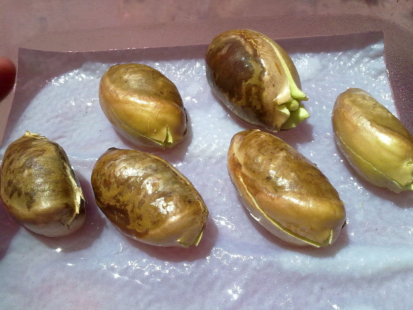 220720101635.jpg