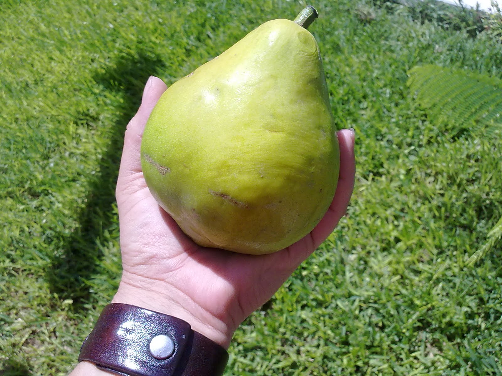 220720101636.jpg