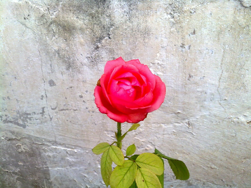 22072010637.jpg