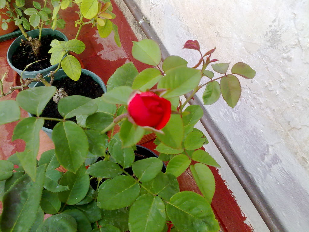 22072010640.jpg