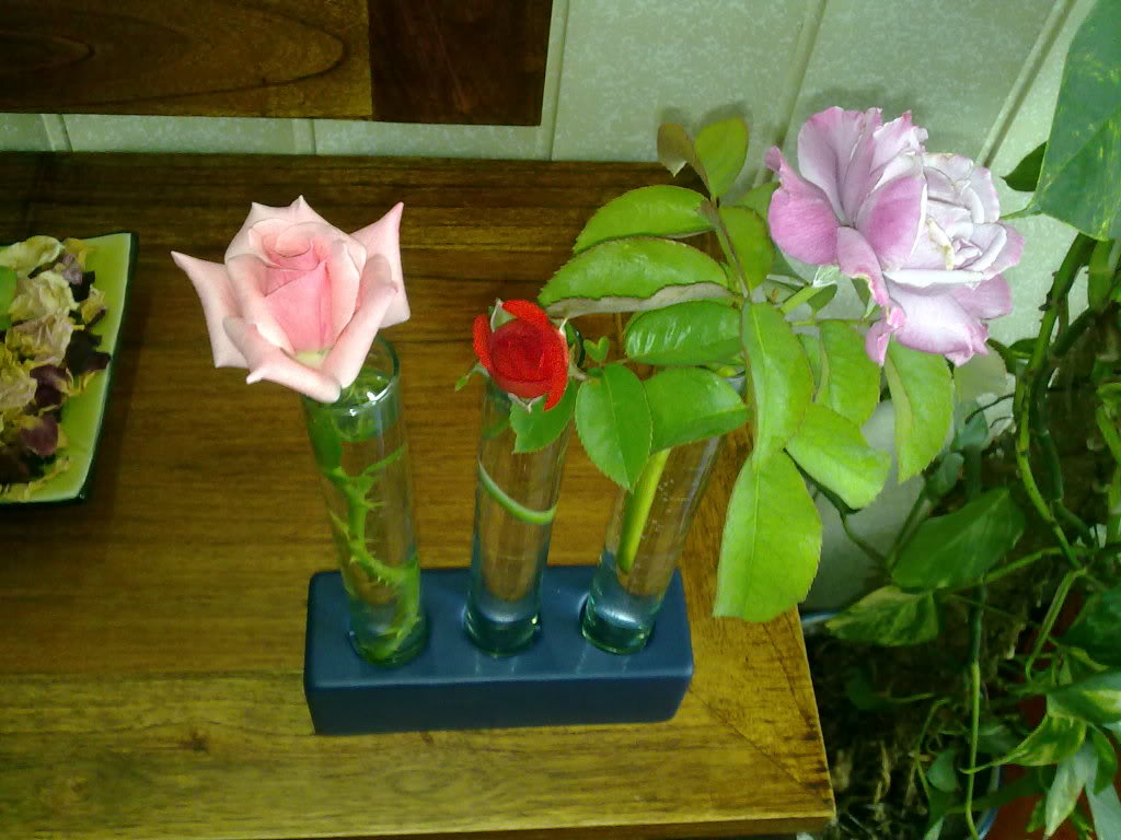 22072010647.jpg