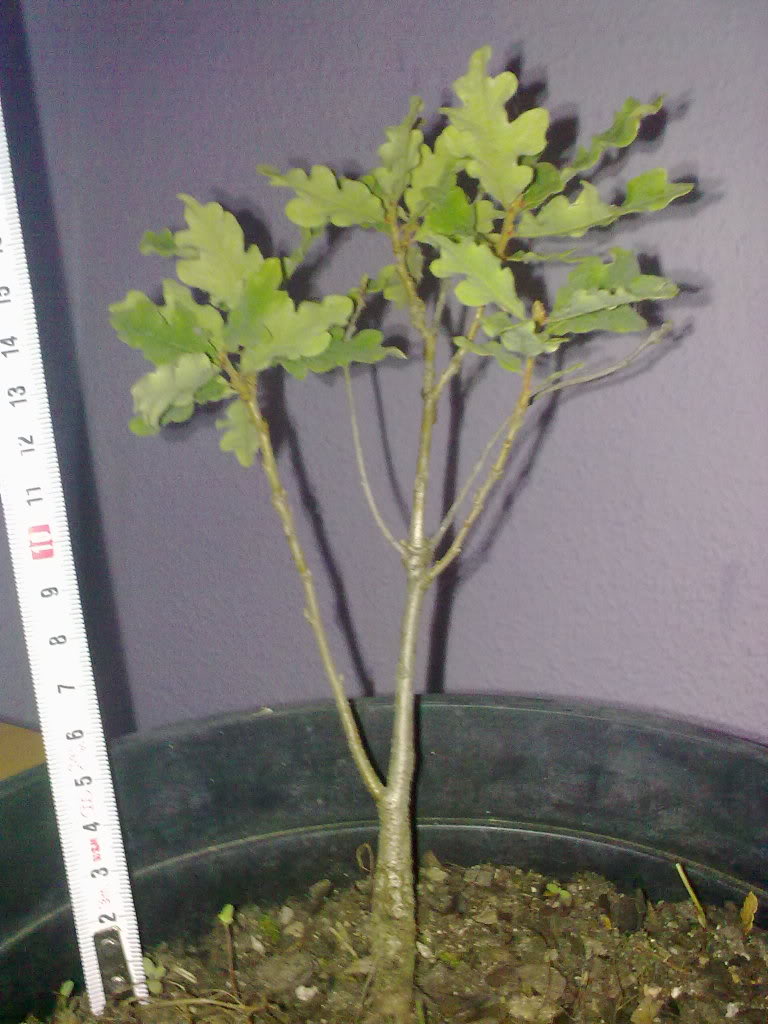 22102010117.jpg