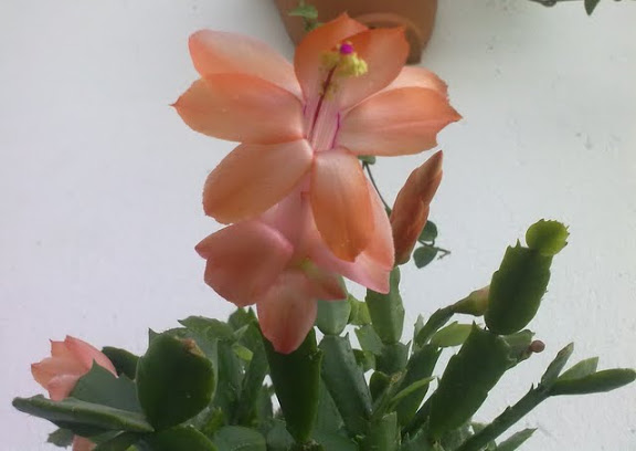 221020114617.jpg