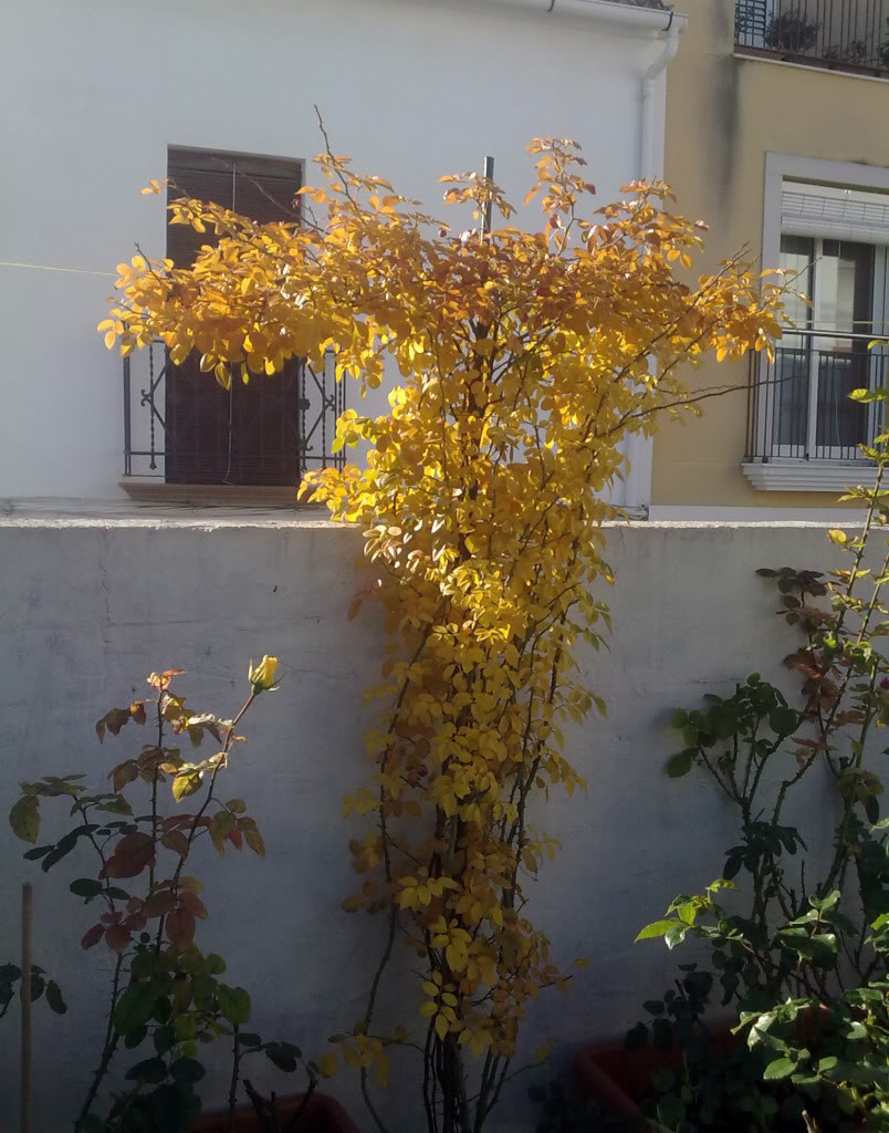 221220112611.jpg