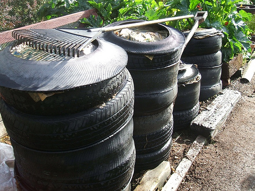 2212551581_16558bfcc5.jpg