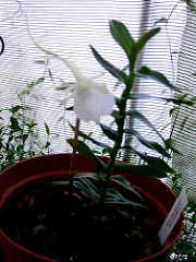 2222356671_0b1c4a55ec_m.jpg