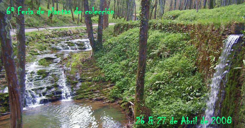2245023064_c06009908d_b.jpg