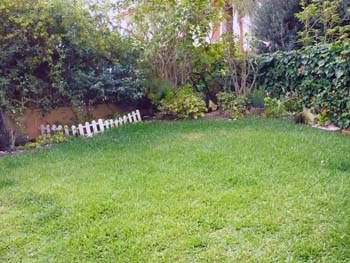 22471d1303467639-pequenos-grandes-cambios-antes-y-despues-foto-1.jpg