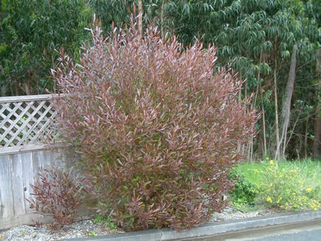 224a.jpg