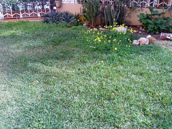 22506d1303574443t-pequenos-grandes-cambios-antes-y-despues-dsc00170.jpg