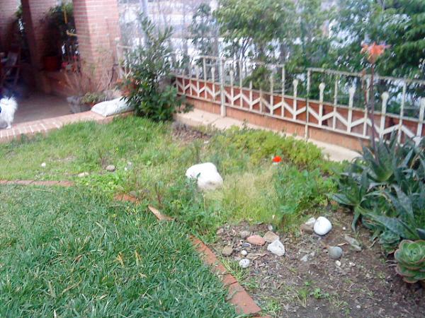 22516d1303576486t-pequenos-grandes-cambios-antes-y-despues-dsc00260.jpg