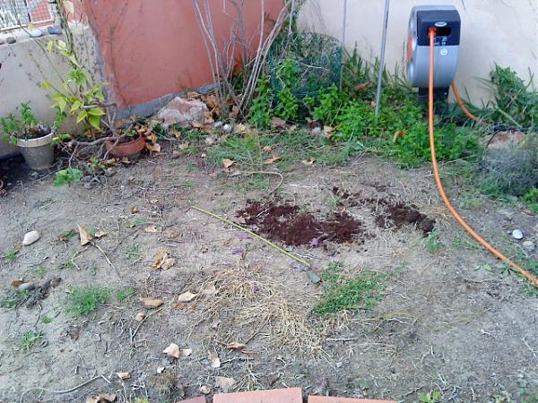 22553d1303663077t-pequenos-grandes-cambios-antes-y-despues-dsc00361.jpg