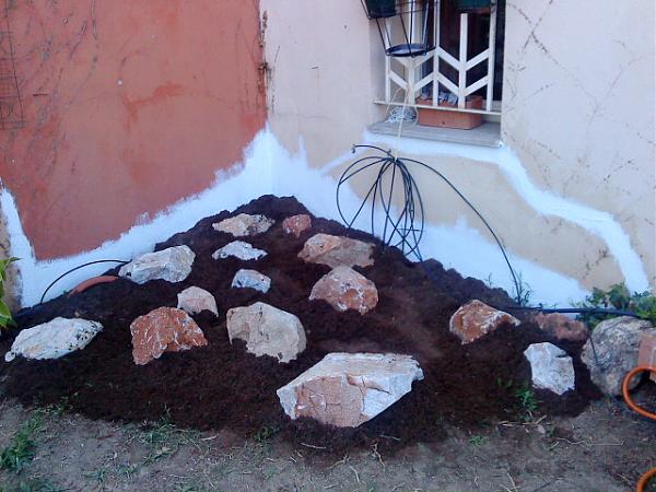 22557d1303663180t-pequenos-grandes-cambios-antes-y-despues-dsc00447.jpg