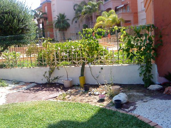 22568d1303664195t-pequenos-grandes-cambios-antes-y-despues-dsc00513.jpg