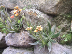 2257385979_da64eeb170_m.jpg