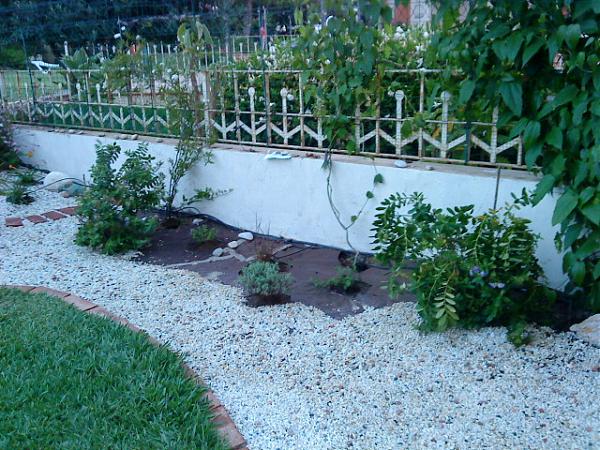 22573d1303664270t-pequenos-grandes-cambios-antes-y-despues-dsc00550.jpg