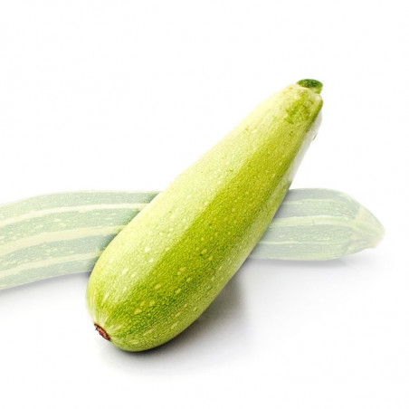 2267-medium_default.jpg