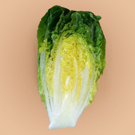 2281-medium_default.jpg