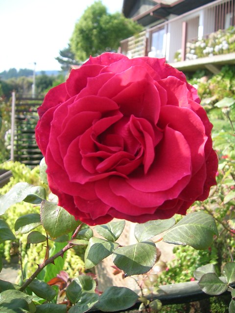 22_abril_023.jpg