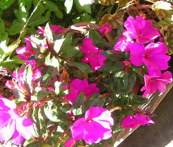 22_febrero_07_022.jpg