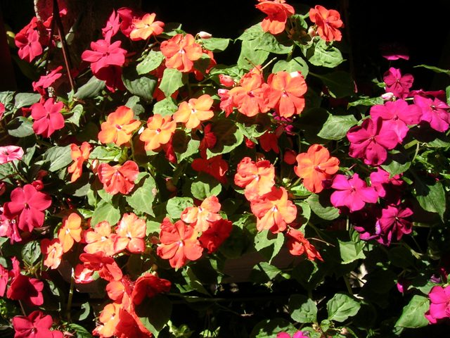 22_febrero_07_028.jpg
