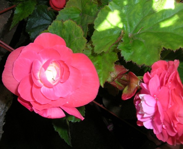 22_febrero_07_031.jpg