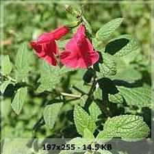 22c2342f57a6972c3b6c47b2ddda7a34o.jpg
