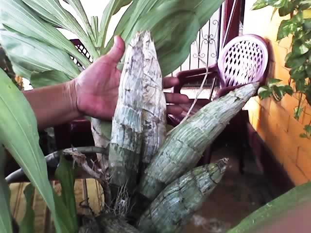 23-07-07_1509.jpg
