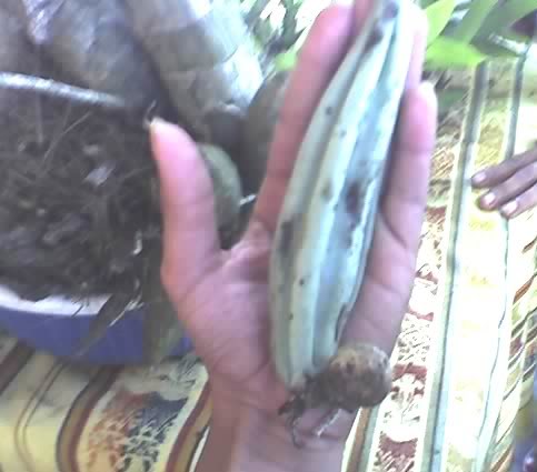 23-07-07_1511.jpg
