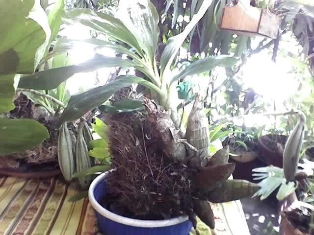 23-07-07_1513.jpg