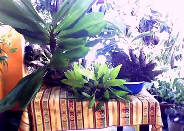 23-07-07_1518.jpg