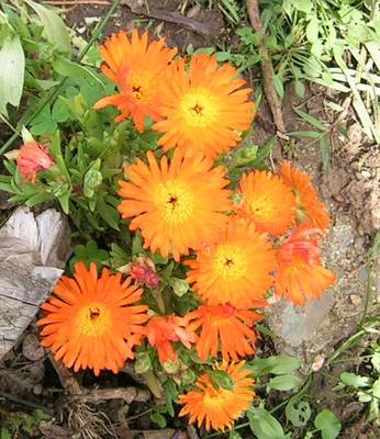 23-07_005.jpg