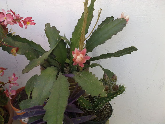 230220112343.jpg