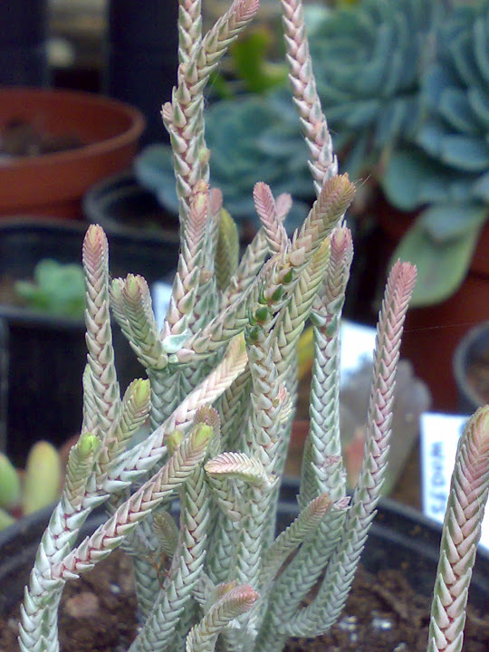 2302201210716.jpg