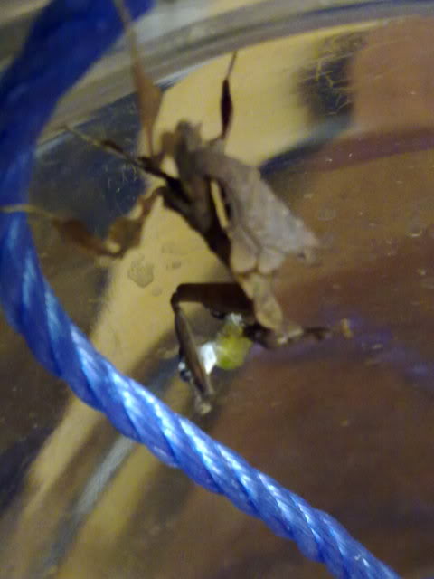 230420111629.jpg