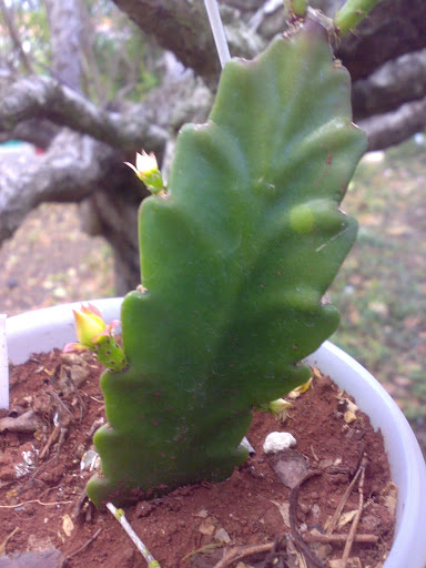 2304201211400.jpg