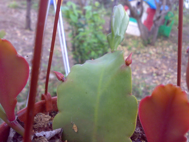 2304201211403.jpg