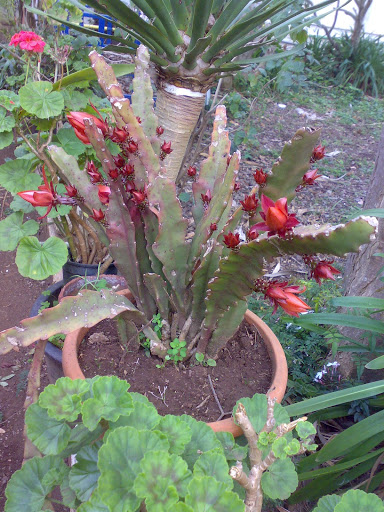2304201211406.jpg