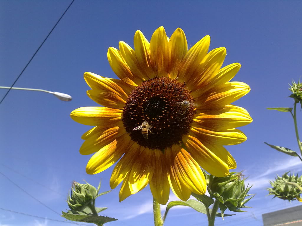 230520119303.jpg