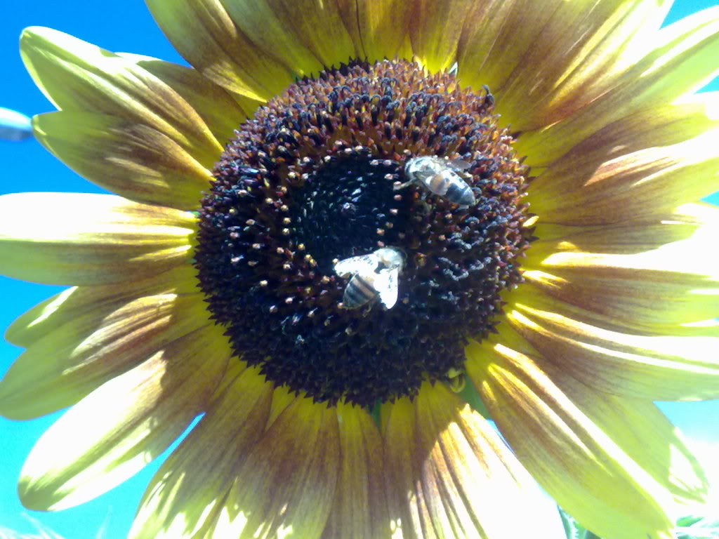 230520119304.jpg