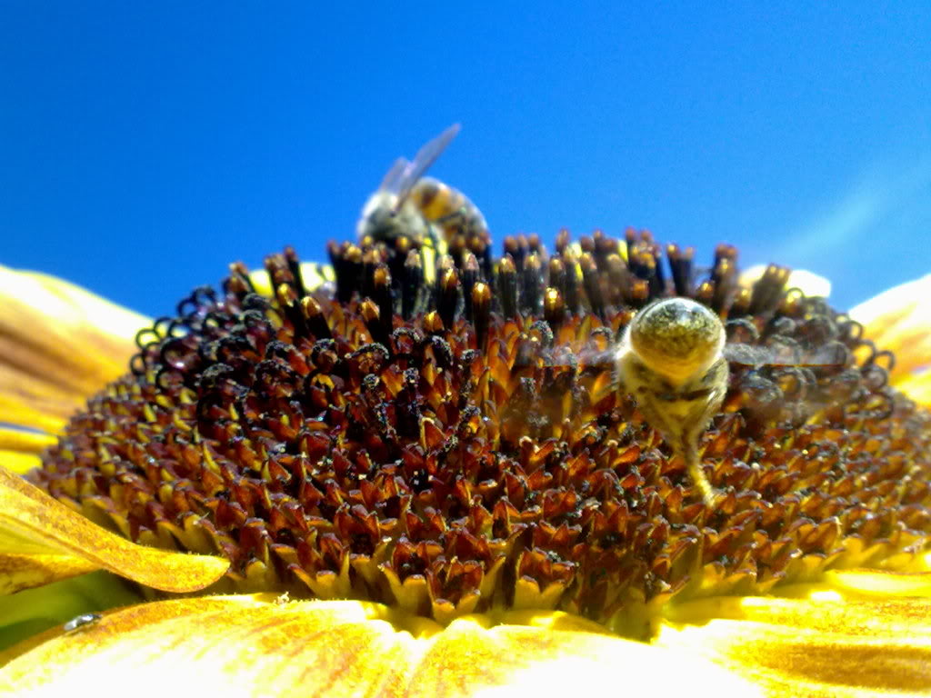 230520119305.jpg