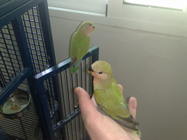 23062009236.jpg